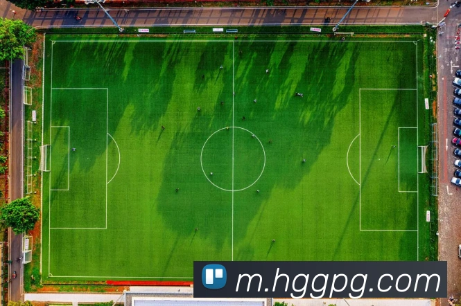 数据防护可视化